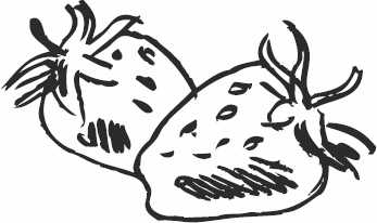 Иллюстрация к книге — Живая косметика [_147.jpg]