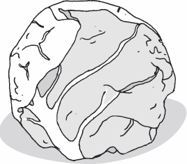 Иллюстрация к книге — Живая косметика [_21.jpg]