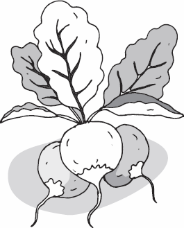 Иллюстрация к книге — Живая косметика [_23.jpg]