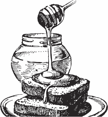 Иллюстрация к книге — Живая косметика [_35.jpg]