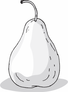 Иллюстрация к книге — Живая косметика [_43.jpg]