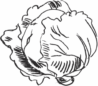 Иллюстрация к книге — Живая косметика [_53.jpg]