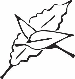 Иллюстрация к книге — Живая косметика [_62.jpg]