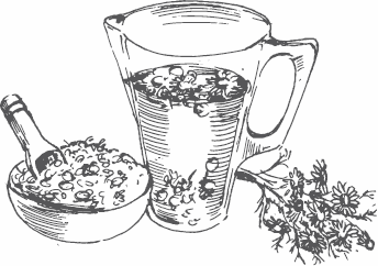 Иллюстрация к книге — Живая косметика [_65.jpg]