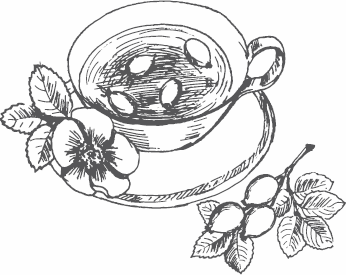 Иллюстрация к книге — Живая косметика [_66.jpg]