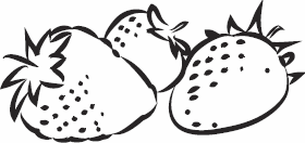 Иллюстрация к книге — Живая косметика [_69.jpg]