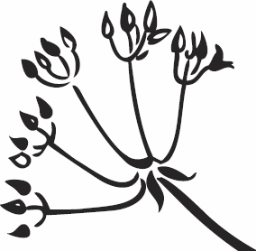 Иллюстрация к книге — Живая косметика [_73.jpg]