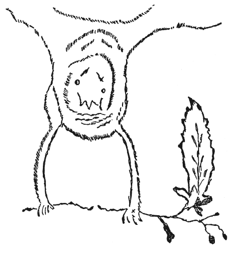 Иллюстрация к книге — Три тысячелетия секретных служб мира. Заказчики и исполнители тайных миссий и операций [i_005.jpg]