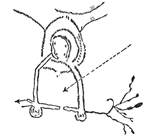 Иллюстрация к книге — Три тысячелетия секретных служб мира. Заказчики и исполнители тайных миссий и операций [i_006.jpg]