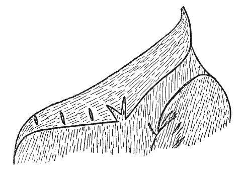 Иллюстрация к книге — Три тысячелетия секретных служб мира. Заказчики и исполнители тайных миссий и операций [i_007.jpg]