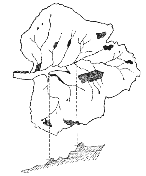 Иллюстрация к книге — Три тысячелетия секретных служб мира. Заказчики и исполнители тайных миссий и операций [i_010.jpg]