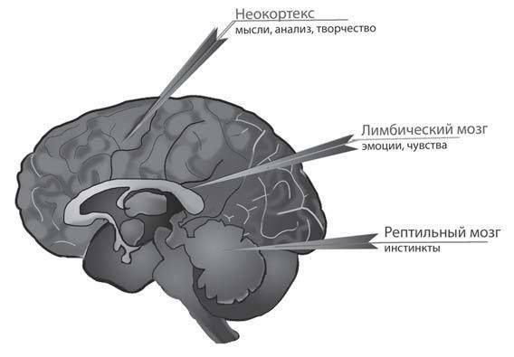 Иллюстрация к книге — Приём «Эффективное прощение». Как очистить своё тело от всех негативных переживаний в прошлом и настоящем [i_001.jpg]