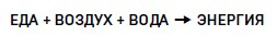 Иллюстрация к книге — Ингредиенты. Странные химические свойства того, что мы едим, пьем и наносим на кожу [i_017.jpg]