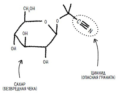 Иллюстрация к книге — Ингредиенты. Странные химические свойства того, что мы едим, пьем и наносим на кожу [i_019.jpg]