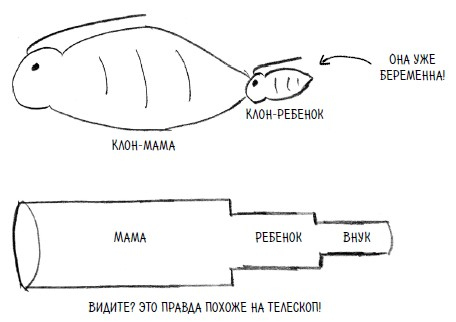 Иллюстрация к книге — Ингредиенты. Странные химические свойства того, что мы едим, пьем и наносим на кожу [i_032.jpg]