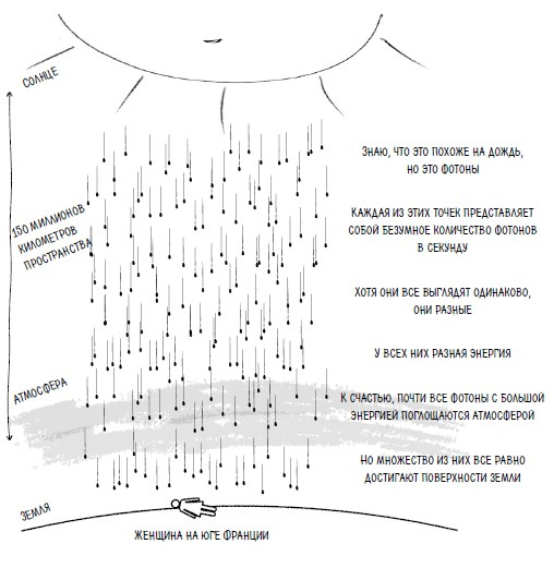 Иллюстрация к книге — Ингредиенты. Странные химические свойства того, что мы едим, пьем и наносим на кожу [i_038.jpg]