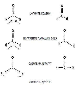 Иллюстрация к книге — Ингредиенты. Странные химические свойства того, что мы едим, пьем и наносим на кожу [i_039.jpg]