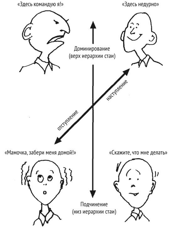 Иллюстрация к книге — Психология эволюции. Руководство по освобождению от запрограммированного поведения [i_014.jpg]