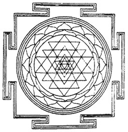 Иллюстрация к книге — Психология эволюции. Руководство по освобождению от запрограммированного поведения [i_020.jpg]