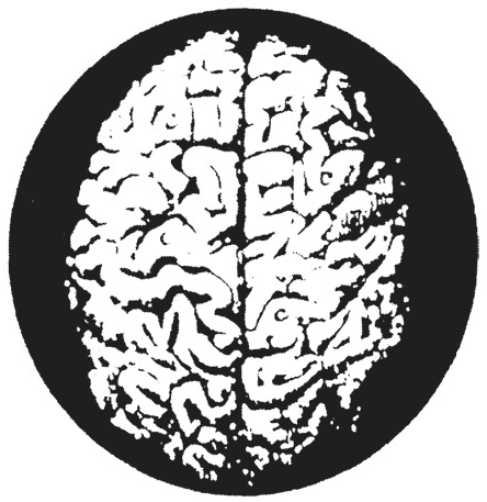 Иллюстрация к книге — Психология эволюции. Руководство по освобождению от запрограммированного поведения [i_041.jpg]