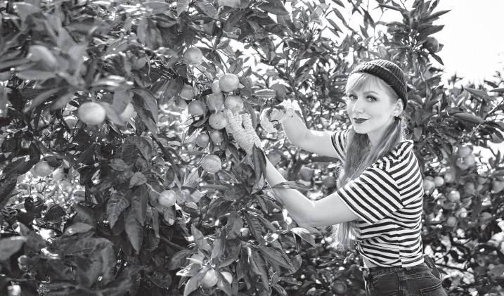 Иллюстрация к книге — Южная Корея. Узнать и полюбить [i_060.jpg]