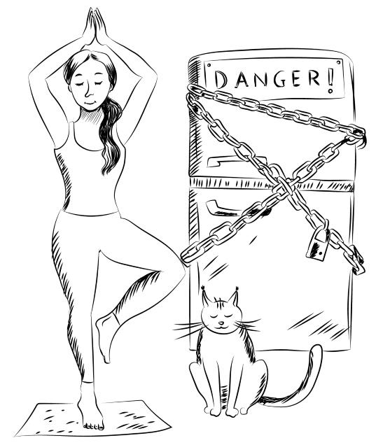 Иллюстрация к книге — Ментальный алхимик. Как получить доступ к подсознанию и обрести уверенность [i_005.jpg]