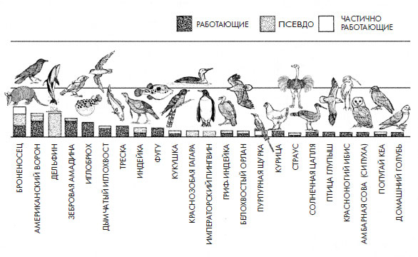 Иллюстрация к книге — Чувства: Нейробиология сенсорного восприятия [i_010.jpg]