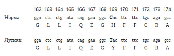 Иллюстрация к книге — Чувства: Нейробиология сенсорного восприятия [i_024.jpg]