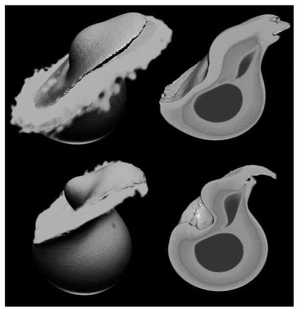 Иллюстрация к книге — Когда у Земли было две Луны. Планеты-каннибалы, ледяные гиганты, грязевые кометы и другие светила ночного неба [i_025.jpg]