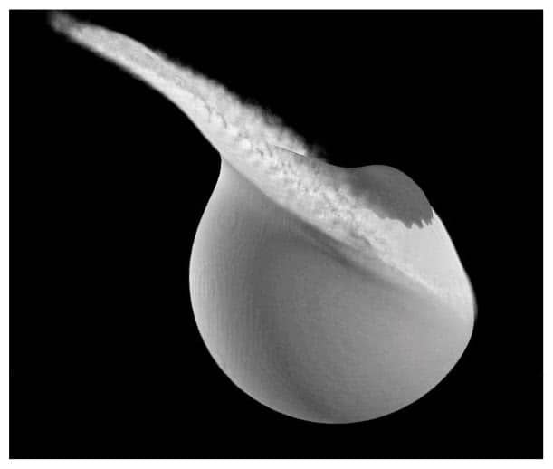 Иллюстрация к книге — Когда у Земли было две Луны. Планеты-каннибалы, ледяные гиганты, грязевые кометы и другие светила ночного неба [i_059.jpg]