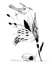 Иллюстрация к книге — Школа Кати Ершовой. Дикари и принцессы [i_023.jpg]