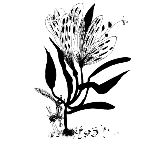 Иллюстрация к книге — Школа Кати Ершовой. Дикари и принцессы [i_024.jpg]