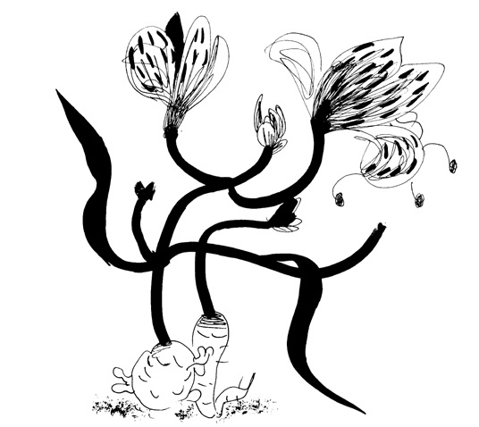 Иллюстрация к книге — Школа Кати Ершовой. Дикари и принцессы [i_026.jpg]