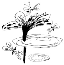 Иллюстрация к книге — Школа Кати Ершовой. Дикари и принцессы [i_042.jpg]