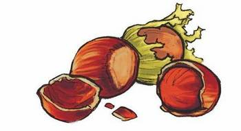 Иллюстрация к книге — История о погасших огнях [i_012.jpg]