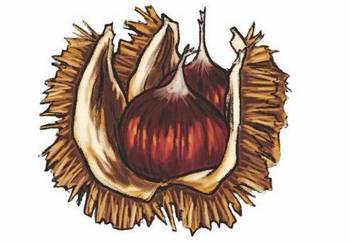 Иллюстрация к книге — История о погасших огнях [i_013.jpg]