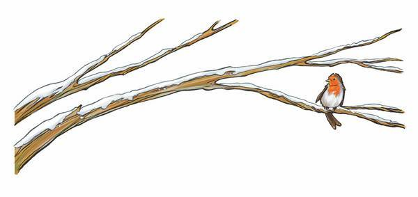 Иллюстрация к книге — История о погасших огнях [i_018.jpg]