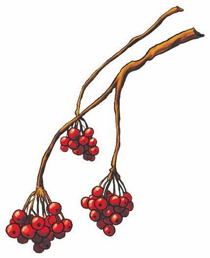 Иллюстрация к книге — История о погасших огнях [i_033.jpg]