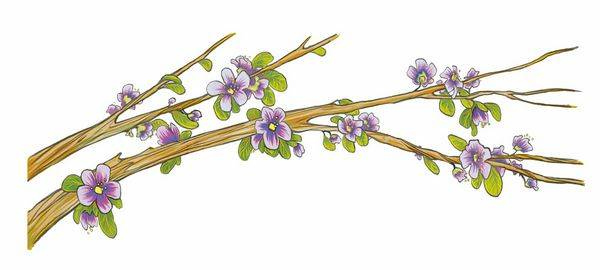 Иллюстрация к книге — История о погасших огнях [i_057.jpg]