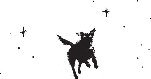 Иллюстрация к книге — Собака, которая спасла мир [i_002.jpg]