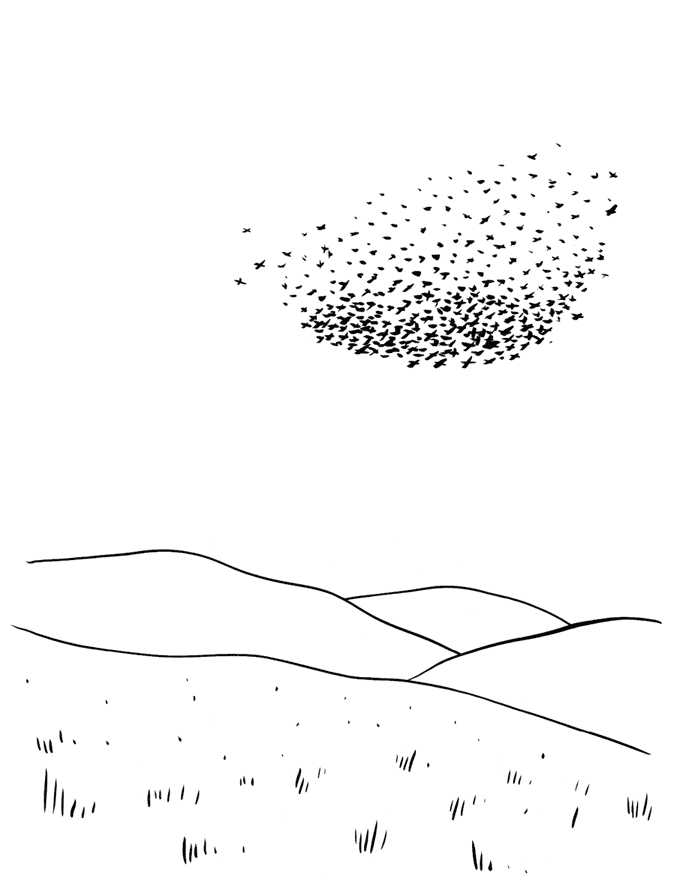 Иллюстрация к книге — Как не сойти с ума. Навести порядок в мыслях и чувствах [i_013.jpg]