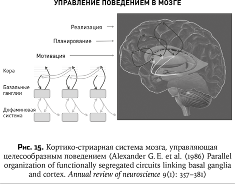 Иллюстрация к книге — Воспитание машин. Новая история разума [i_020.jpg]