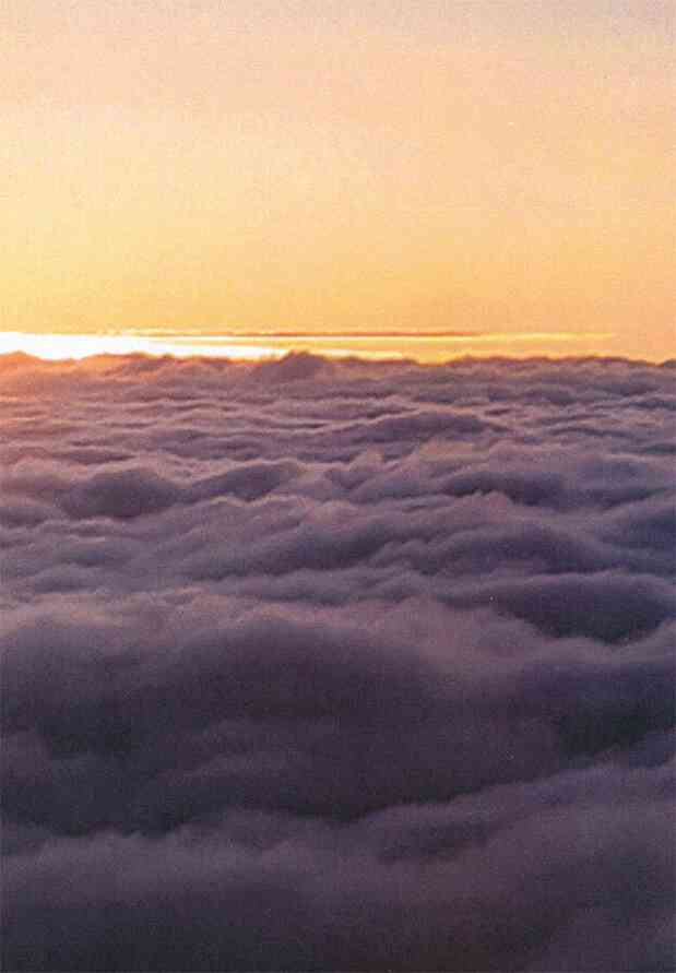 Иллюстрация к книге — Наизнанку. Личная история Pink Floyd [i_288.jpg]