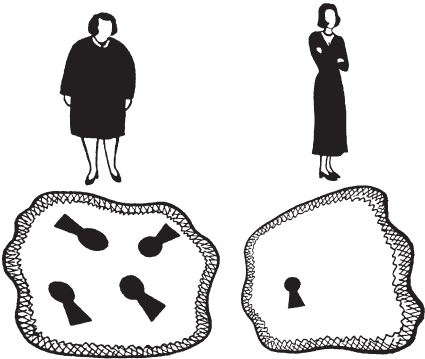 Иллюстрация к книге — Настольная книга диабетика. Как наладить жизнь с непростым диагнозом [i_004.jpg]