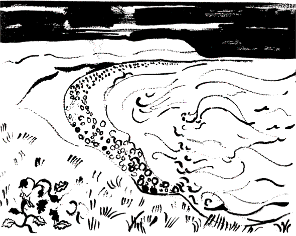 Иллюстрация к книге — Остров на всю жизнь. Воспоминания детства. Олерон во время нацистской оккупации [i_002.jpg]