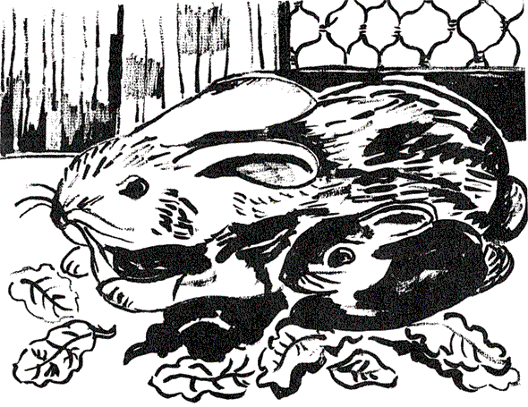 Иллюстрация к книге — Остров на всю жизнь. Воспоминания детства. Олерон во время нацистской оккупации [i_009.jpg]