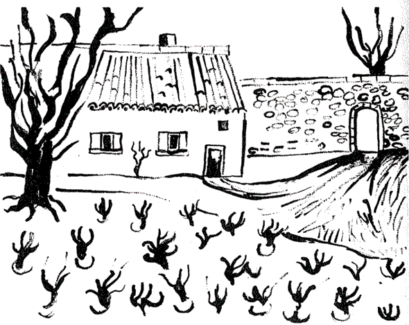 Иллюстрация к книге — Остров на всю жизнь. Воспоминания детства. Олерон во время нацистской оккупации [i_010.jpg]