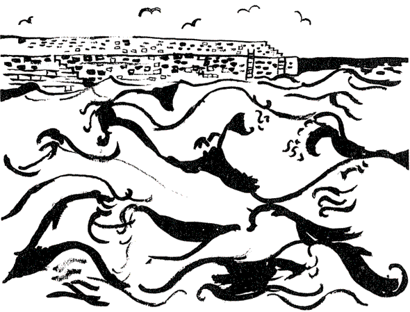 Иллюстрация к книге — Остров на всю жизнь. Воспоминания детства. Олерон во время нацистской оккупации [i_011.jpg]