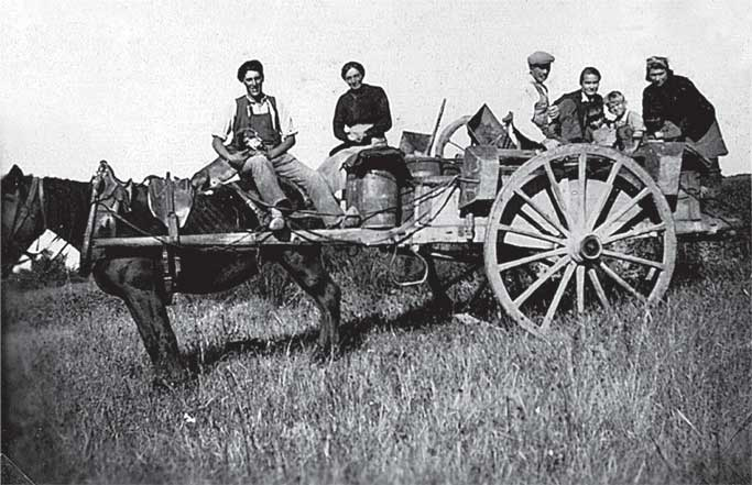 Иллюстрация к книге — Остров на всю жизнь. Воспоминания детства. Олерон во время нацистской оккупации [i_030.jpg]