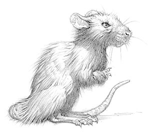 Иллюстрация к книге — Эликсир жизни [i_023.jpg]